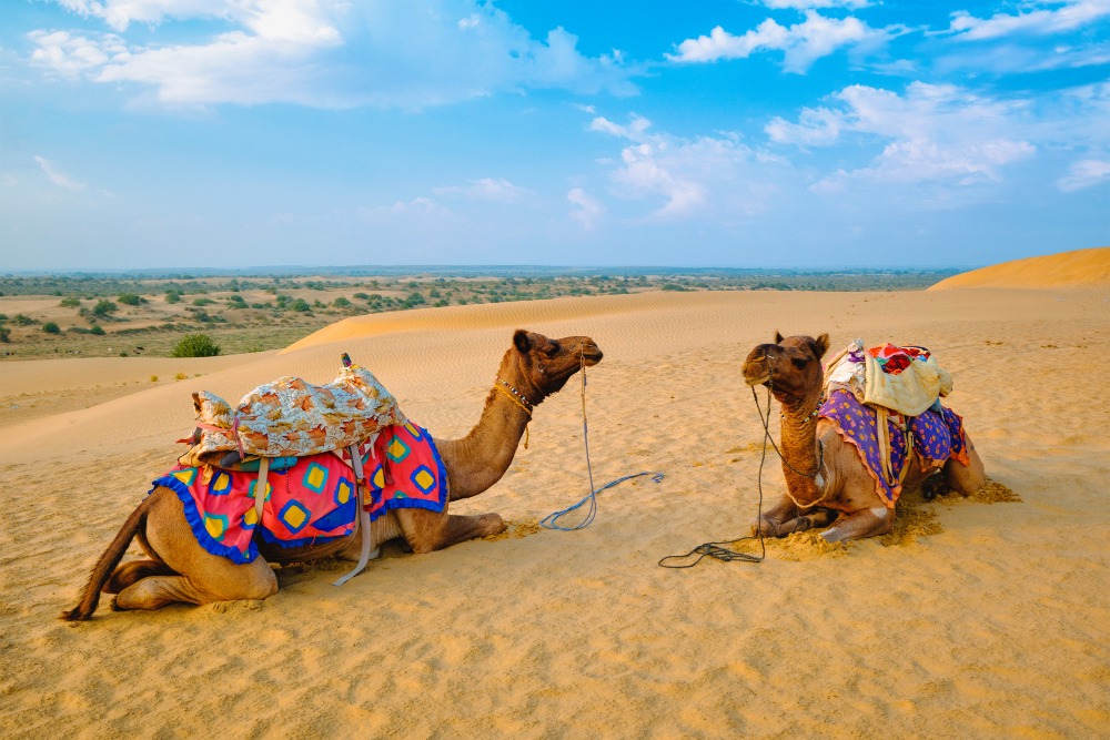 Imperial Rajasthan Tour